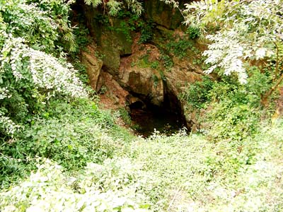 端渓　老坑 端渓へ行こう - 酔中夢書2008